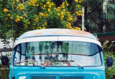 blue Volkswagen T3 in front of trees